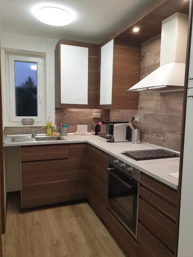 Apartman U Labe Нимбурк Екстер'єр фото
